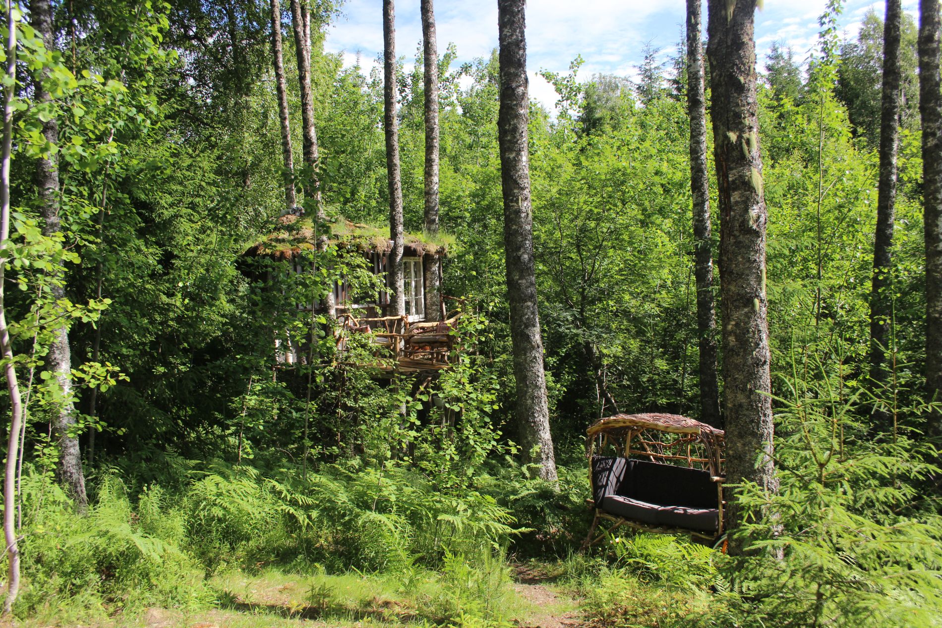 Bluesberry Woods Treehouse